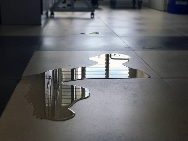 Best Commercial water damage restoration  in Mountain Home, NC