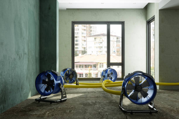 Best Water damage restoration services  in Mountain Home, NC